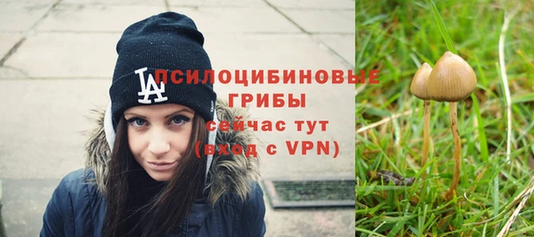 прущие крисы Арсеньев